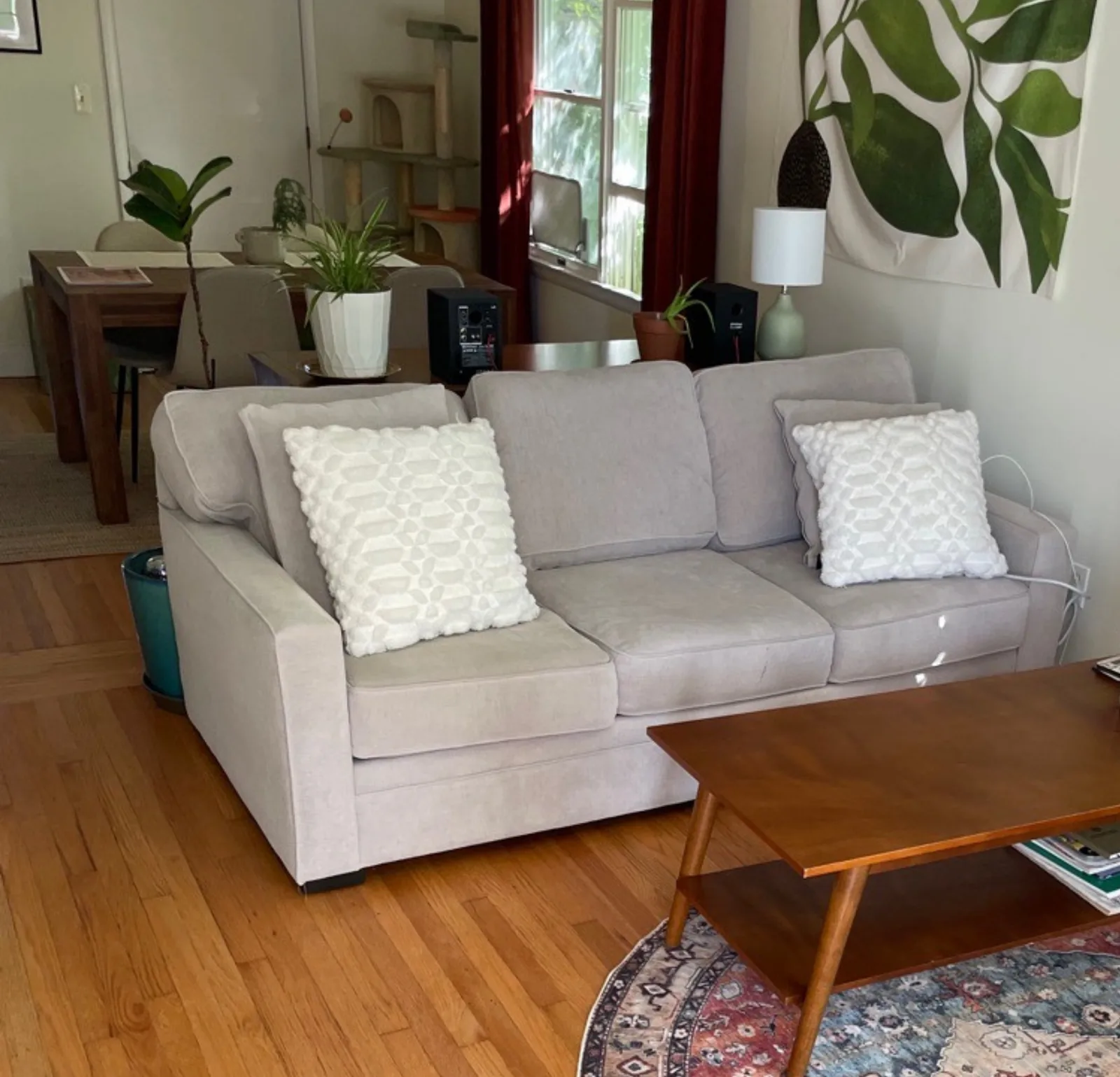 Bright cleaned living room with white sofa and houseplants — Verde Luxe Cleaning